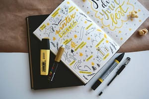 lazy journaling